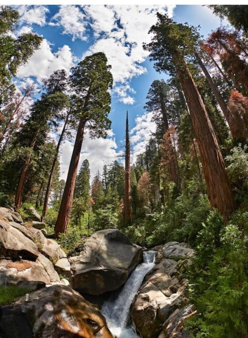 Sequoia Villa Visalia Esterno foto